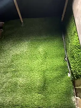 Czarnoksieznik – Kamerová šou