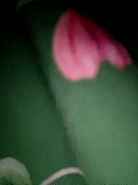 Rozaaaaforyoubigboob Live XXX-Chat