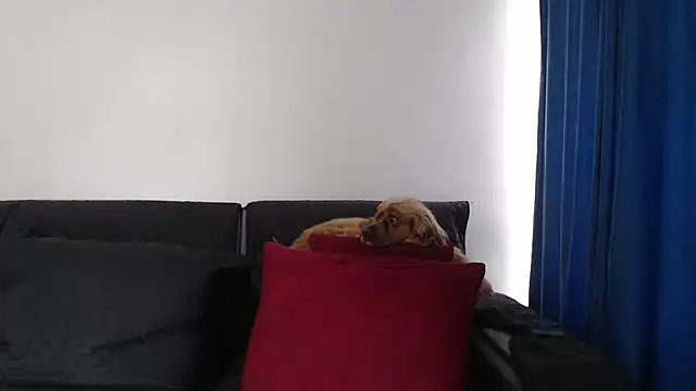 evilheart_69 Live XXX-chat