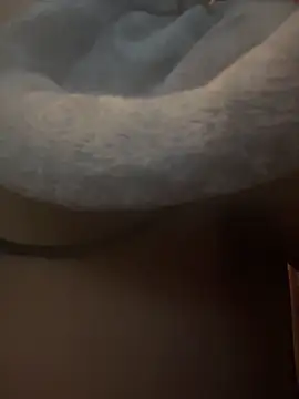 nickytheehawtie Live XXX-chat