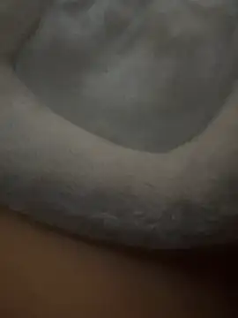 nickytheehawtie Live XXX-Chat