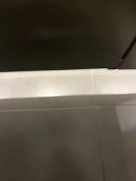 thiagowesのウェブカメラショー