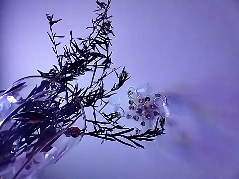 Necroforoのウェブカメラショー