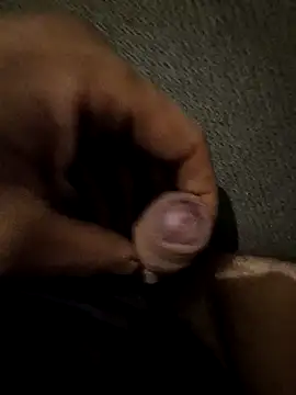 Michlgixxer Webcam Show