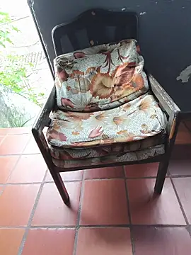 Show webcam de Blanco2023