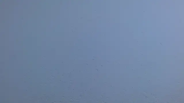 Chat XXX en directo de isabel_24_gil