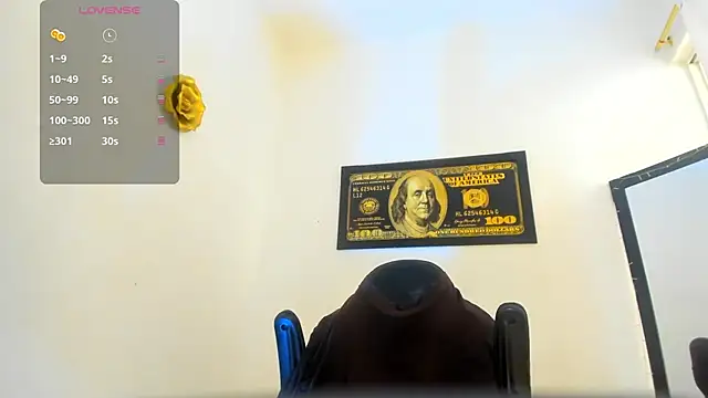 Show webcam de horus_gil