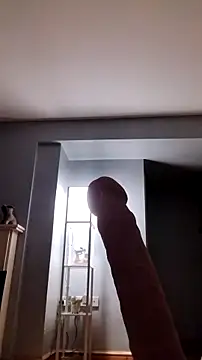 Sophrob96x 라이브 XXX 채팅