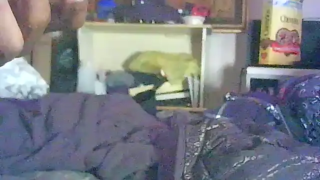 Chat XXX en directo de GUAPAN3S3_FIR3