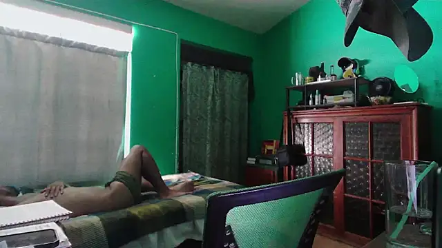 _______theのウェブカメラショー