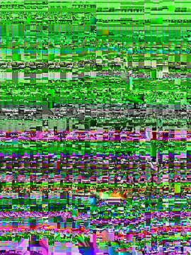 SafeinouterSpace 라이브 XXX 채팅