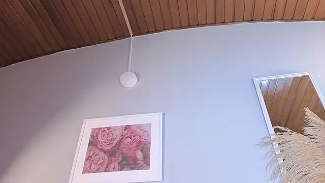 Elecktra_sweetのライブXXXチャット