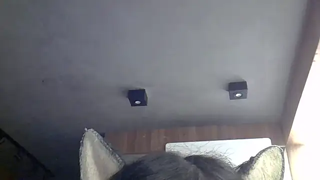 SkinnyKitten Webcam-Show