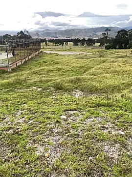 Maicol_xxxx Show in webcam