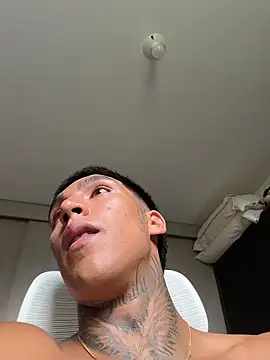 sendfer 网络视讯表演