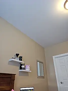 AmethystFoxx 即時 XXX 聊天