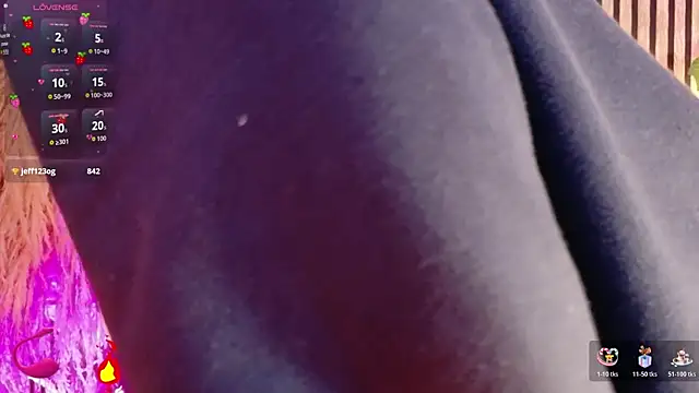 Hiddenhotcake Show Webcam