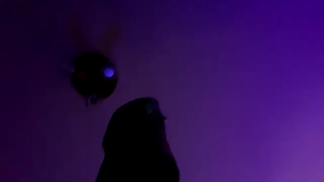 Guyst049のライブXXXチャット