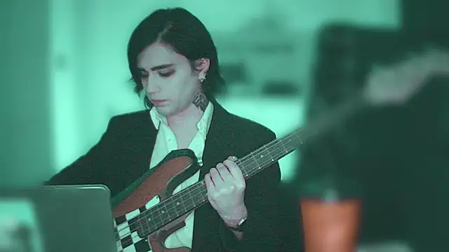 Show webcam de sademobeer