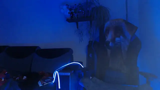 Diablica41 Live XXX Chat