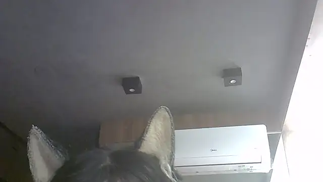 Show de webcam de SkinnyKitten