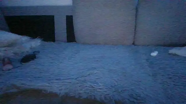 chichoplus Show in webcam