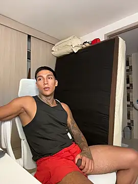 sendfer 라이브 XXX 채팅