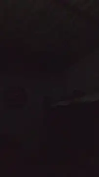 Онлайн чат XXX elinnki