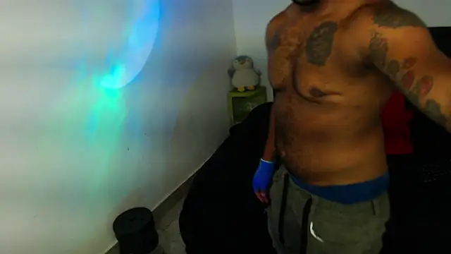 Show webcam de MascTyler