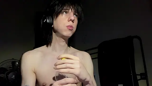 Mark_Shoyer2n Webbikameraesitys