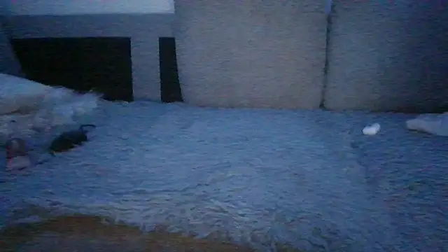 chichoplus Show Webcam