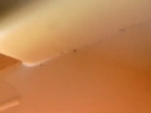 Show Webcam de Bigcockmexi13