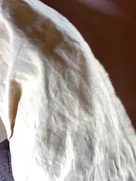 แชท XXX สดของ AlmaraRouge