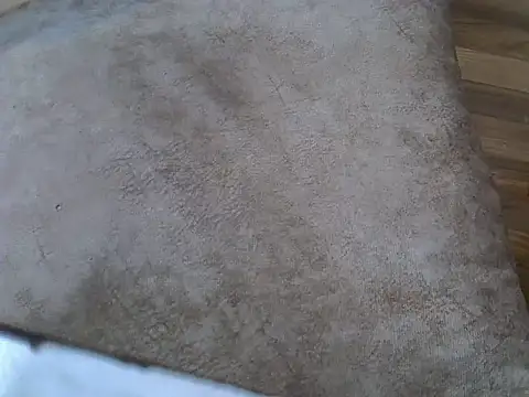 Chat XXX en directo de cem07060