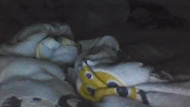 sarahkat86 élő XXX-chatje