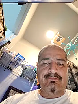 Show Webcam de bimexpoexist