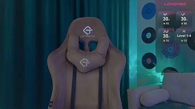 Show webcam de DebugMee