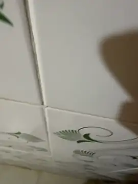 dickmaster8782 élő XXX-chatje