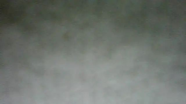 chichoplus Show in webcam