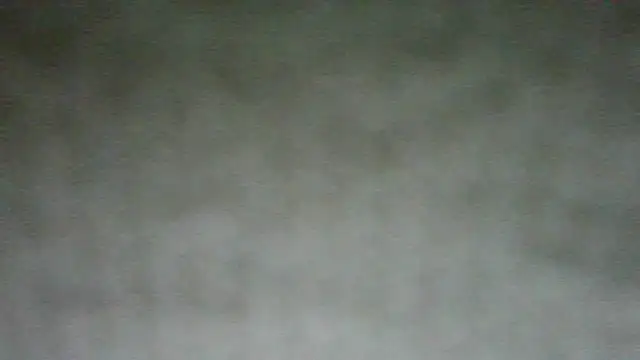 Show Webcam de chichoplus