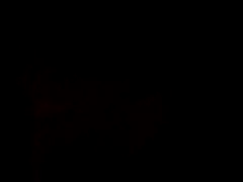 Perv10 现场XXX聊天