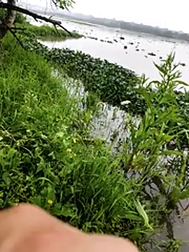 huzi518のライブXXXチャット