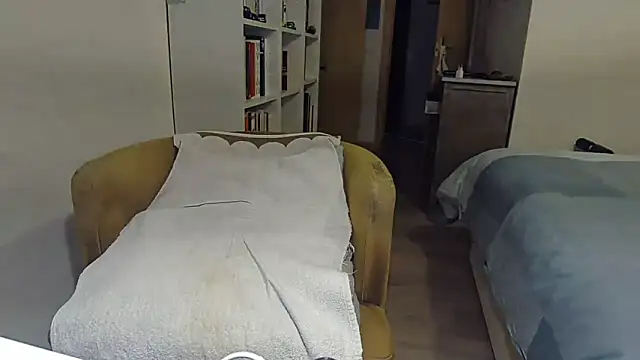 Fergaroのウェブカメラショー