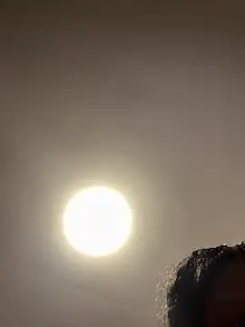 Nyla_xox's Live XXX Chat