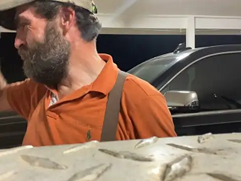 Countrypnp13 Live XXX-chat