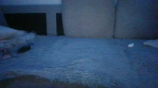 Chichoplus1 网络视讯表演