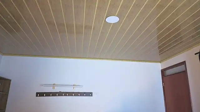 Renaxi_Smith 现场XXX聊天