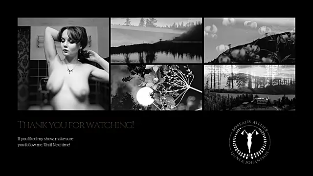 Borealisatelier Webcamshow