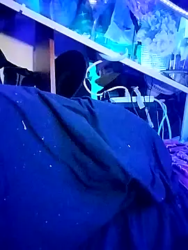 gurlnips Obrolan Langsung XXX