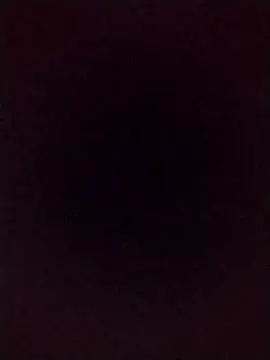 Show webcam de Francescodicristina44